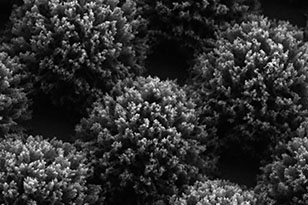 黑龙江黑龙江蔡司显微镜